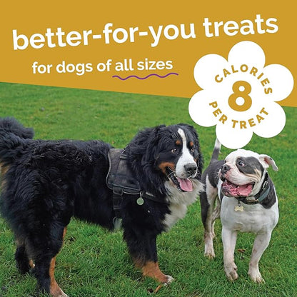 Fruitables Baked Dog Treats, Healthy Pumpkin Treat for Dogs, Low Calorie & Delicious, Free of Wheat, Corn and Soy, Made in The USA, Chicken and Cranberry Flavor, 12 oz
