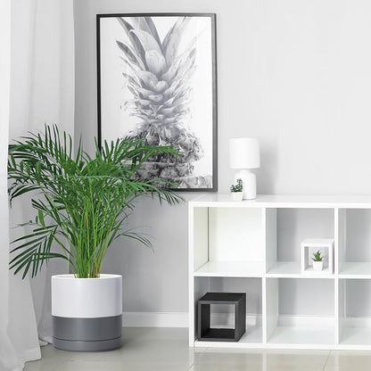 D'vine Dev 10 Inch Ceramic Planter Pot, White/Grey, 94-O-E-6 | Modern Cylinder Design, Drainage Hole & Saucer Included, Stable Structure, Elegant Home Accent