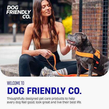 Dog Friendly Co. Dog Harness for Medium Sized Dogs (Hi-Vis Orange, Medium) | One Click Buckle, Chafe Resistant Webbing, Adjustable Neck & Chest, and Heavy Duty D-Ring, Sturdy Comfortable and Easy to Use