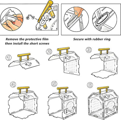 Acrylic Jumping Spider Enclosure (5.9" x 4.7" x 5.5") - Magnetic Door & Handle Terrarium for Tarantulas, Reptiles, Amphibians & Insects - All-Round Transparent, Easy Assembly & Feeding
