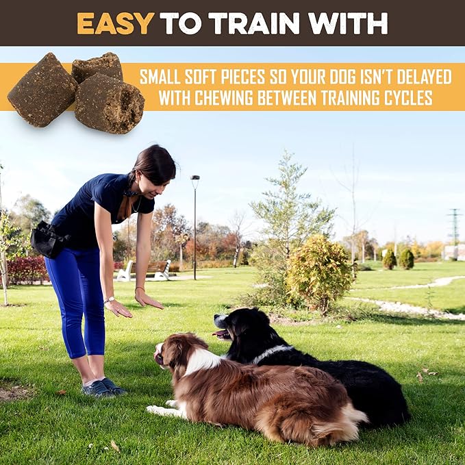 BRUTUS & BARNABY Training Treats for Dogs - Peanut Butter & Honey - All-Natural Healthy Low Calorie Vegetarian Treat - Great to Use for Rewards in Training Your Puppy Or Dog