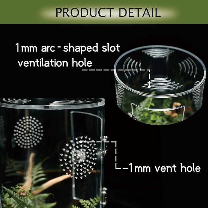 Acrylic Terrarium for Reptiles & Spiders – Small/Medium/Large Leak-Proof Enclosure (Horizontal/Vertical) | Ideal for Tarantulas, Jumping Spiders, Frogs & Geckos(Large, Round)