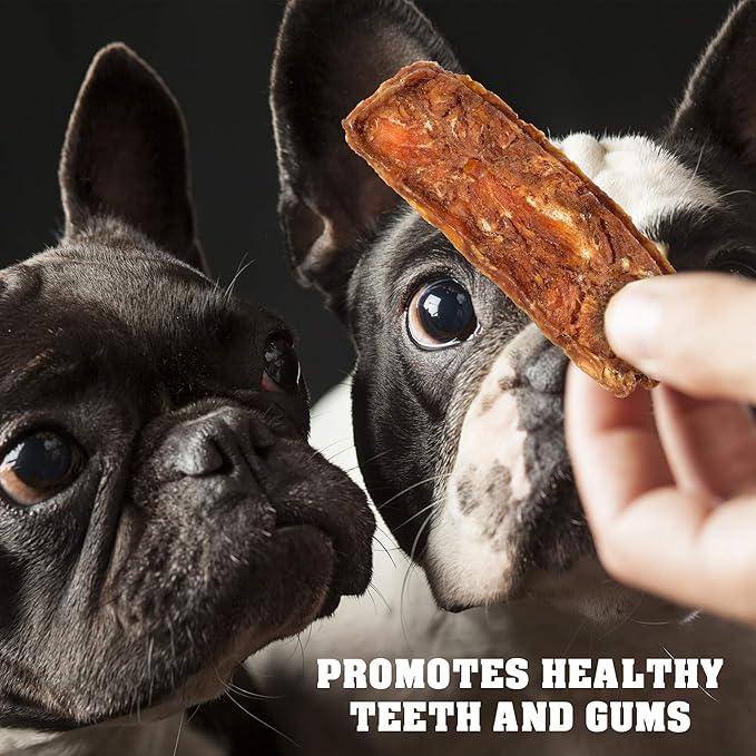 Chicken Jerky Dog Treats 1.5 Lb - Human Grade Pet Snacks & Grain Free Meat - All Natural High Protein Dried Strips - Best Chews for Training Small & Large Dogs - Bulk Soft Pack Made for USA