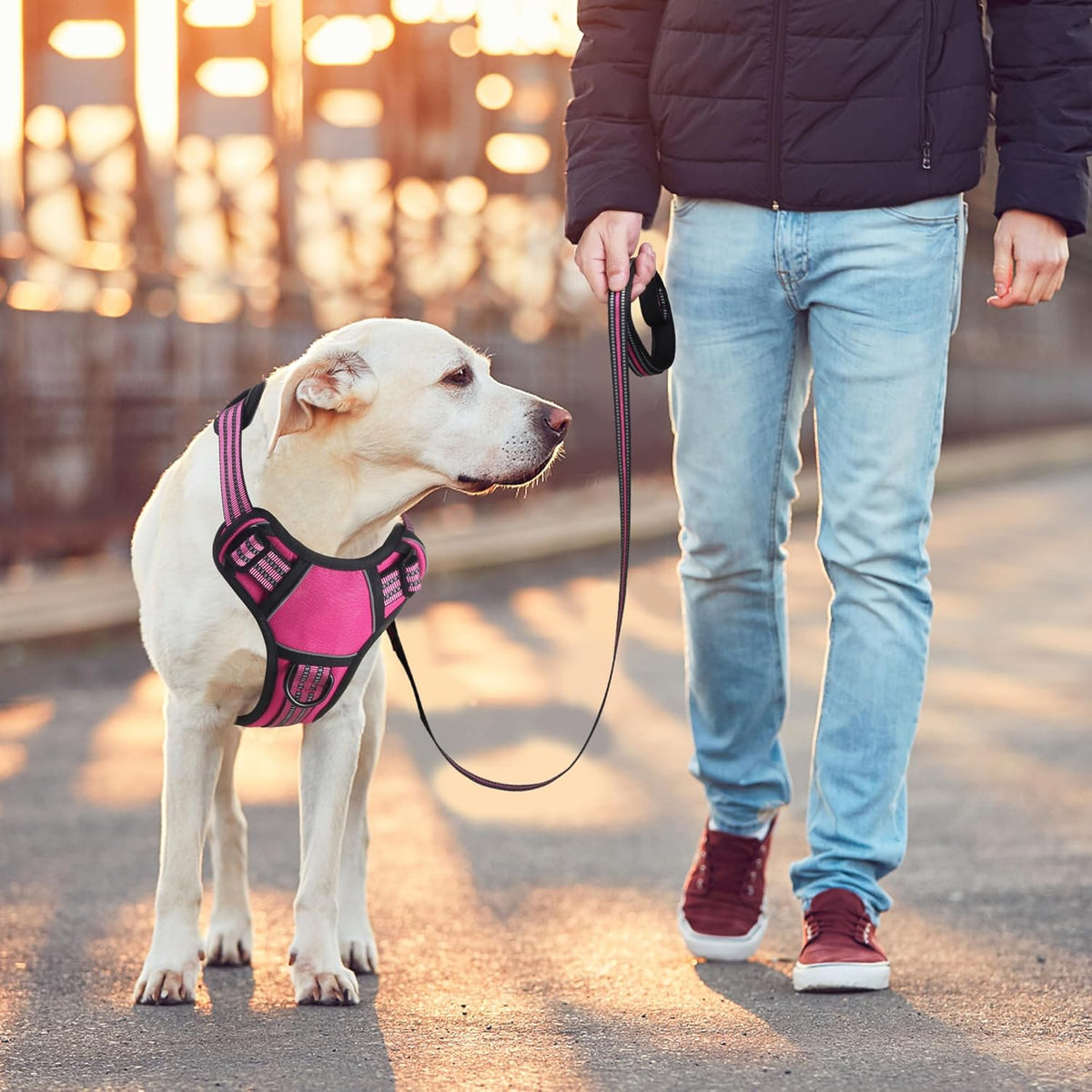 BUMBIN Dog Harness for Large Dogs, No Pull Adjustable No Choke Pet Vest with Dog Leash Fit Smart Reflective Pet Walking Harness for Training Easy Control Soft Handle Rose Red L