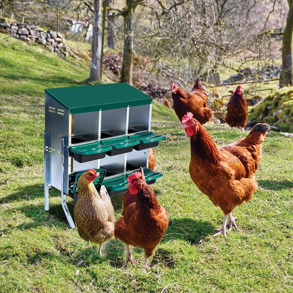 Chicken Nesting Box, 6 Hole 2 Layer Hen Nest Boxes with Legs, Roll Away Eggs Laying Boxes,Cleanable Pull Out Hen Roosting Boxes