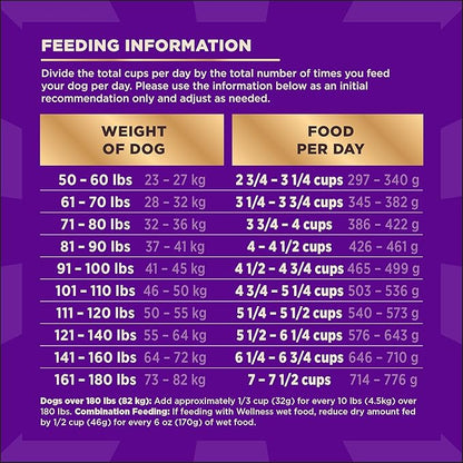Wellness CORE+ Dry Dog Food with Freeze Dried Pieces, Large Breed, Wholesome Grains, High Protein, Natural, Chicken & Turkey Recipe, (20-Pound Bag)