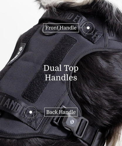 2025 New Edition, Fei & Eve MagEase Dog Harness - 3-Second Magnetic Buckles | 3-Point No-Pull Control | Heavy-Duty 900D Nylon | Dual Safety Handles | Breathable Mesh | Adjustable Fit | Small, Black