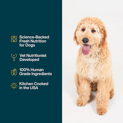 JustFoodForDogs JustFresh Wet Dog Food, Fresh Pet Meals and Toppers with No Preservatives, Resealable Package, Human Grade, Home-Cooked Turkey, 12 oz - 7 Pack