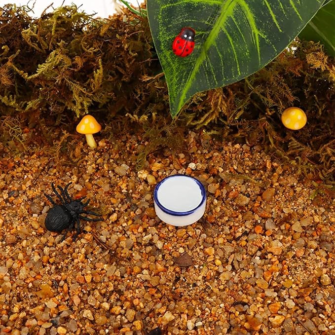 Tarantula Micro Water Bowl Spider Anti-Turnover Bowl for Small Hamster Tarantula Spider Scorpion Cricket Snail Manti Millipede Tiny Bugs Reptile Terrarium Cage Accessories (S (0.86''dia),4 Pcs)
