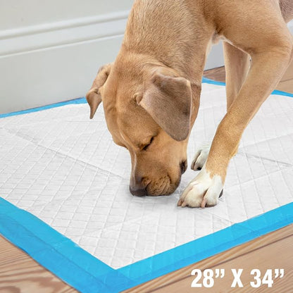 Four Paws Wee-Wee Superior Performance Extra Large Pee Pads for Dogs with Runoff Barrier Edge Guard Protection, Puppy & Dog Potty Training Pads, Housebreaking Supplies, 28" x 34" (75 Count)
