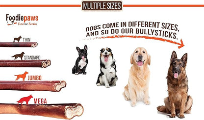 FOODIEPAWS 6 Inch Jumbo Bully Sticks for Dogs, 20 Pack | All Natural, Grass-Fed Beef Pizzle | Rawhide-Free, Odor-Free, Fully Digestible & Long Lasting Dog Chews | For Large Breeds & Aggressive Chewers