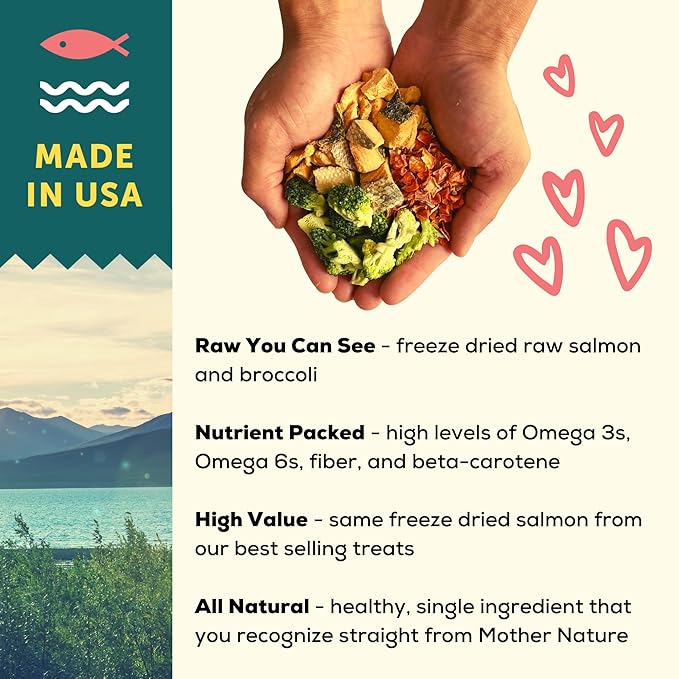 A Better Dog Food | Salmon Dry Dog Food | Raw You Can See | High Protein Kibble + Freeze Dried Raw Dog Food