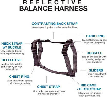 Blue-9 Reflective Buckle-Neck Balance Harness, Fully Customizable Fit No-Pull Harness with 3M Reflective Stitching, Ideal for Dog Training and Obedience, Made in The USA, Grey, Large