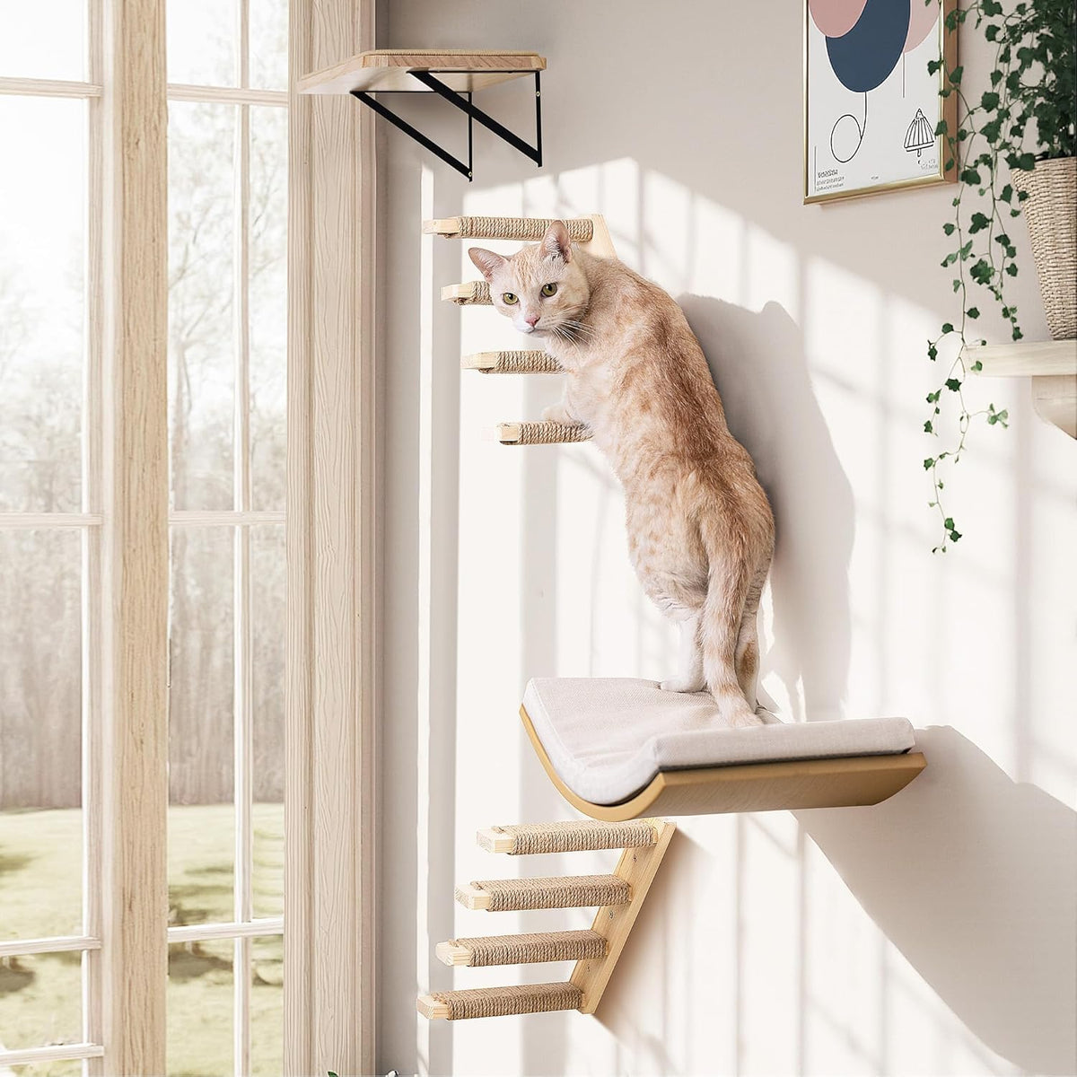 4-Piece Cats Wall Furniture with Cat Window Perch – Wood Wall Mounted Cat Shelves Set with Foam-Padded Curved Bed, Flat Perch & 4-Step Cats Stairs