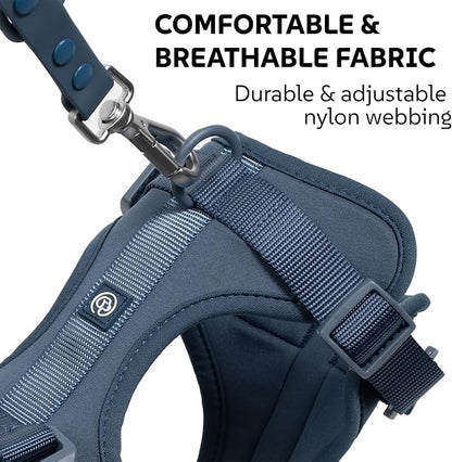 Dog Harness, Collar & Leash Set, Adjustable No Pull Harness with 3 Leash Clips, Waterproof Matching Collar & Leash, Breathable Comfort (Blue, Small)