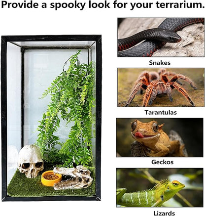 Tfwadmx Human Skull and Crocodile Skull Decor, Snake Hide, Tarantula Enclosure Accessories, Resin Skull with Vines Reptile Terrarium Tank Decor for Geckos, Lizards, Spiders