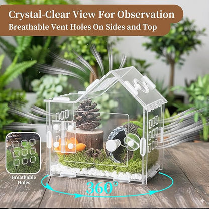 Jumping Spider Enclosure for Small Species, Acrylic Reptile Terrarium Habitat with Feeding Hole for Tarantulas, Praying Mantis, Gecko,Insects, Hermit Crab, Lizard, Snails Isopods - 6"*4"*6"