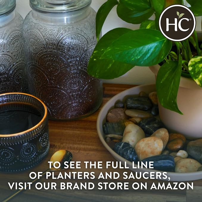 The HC Companies Prima Round Plastic Plant Pot w/Rolled Rim - Lightweight & UV Resistant Flower Pot for Herbs & More - Outdoor & Indoor Plant Pots w/Drainage (14 inch, Honey, Pack of 1)
