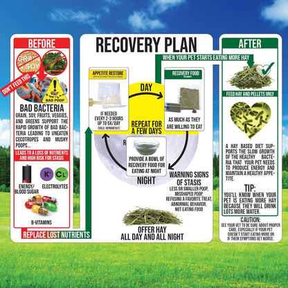 Sherwood Pet Health Guinea Pig Timothy Recovery Food (800g). Grain Free, Soy Free. Great Taste That Guinea Pigs Love with Motility Herbs.