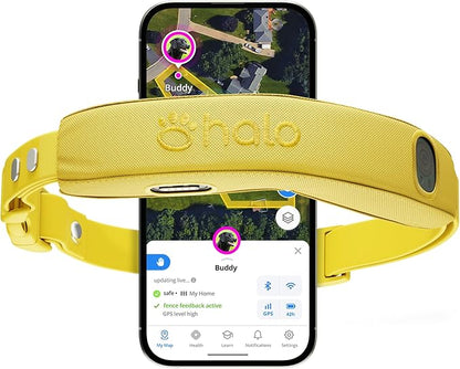Halo Collar 5, New Wireless Dog Fence & GPS Dog Collar, Subscription Required, Waterproof, Sunburst, One Size
