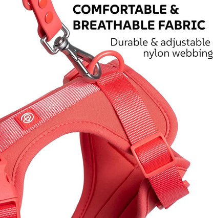Dog Harness, Collar & Leash Set, Adjustable No Pull Harness with 3 Leash Clips, Waterproof Matching Collar & Leash, Breathable Comfort (Red Watermelon, Medium)