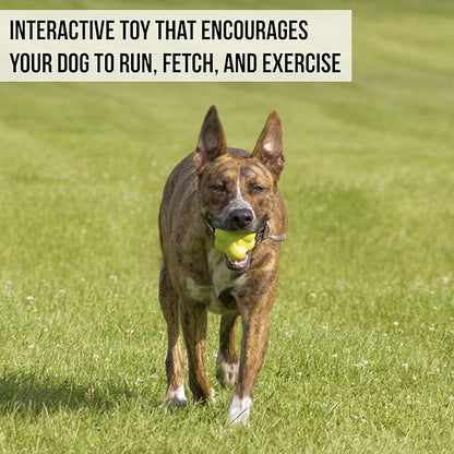 Hyper Pet Fetching Dog Toys - Throwing Bumpy Ball Dog Toy Made with EVA Foam - Lightweight & Floats on Water (Pack of 5)