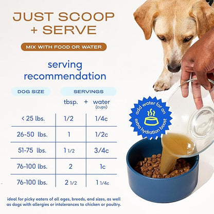 Native Pet Beef Bone Broth for Dogs (4.75 oz) & Organic Pumpkin for Dogs (8 oz.) - Dog Bone Broth Powder Food Topper for Picky Eater and All-Natural, Organic Fiber Pumpkin Powder