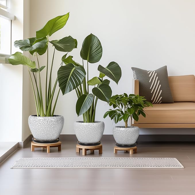 Ceramic Plant Pots Set of 3, 10+8+6 Inch Modern Round Flower Planters with Drainage Holes and Plant Saucers for Indoor Outdoor, Home Garden Room Porch Decor, Plant Lover Gifts, White-Black