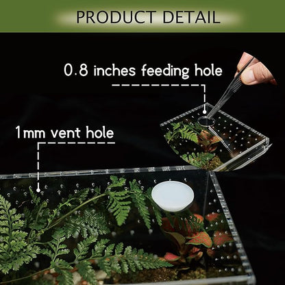 Acrylic Terrarium for Reptiles & Spiders – Small/Medium/Large Leak-Proof Enclosure (Horizontal/Vertical) | Ideal for Tarantulas, Jumping Spiders, Frogs & Geckos (Large, Horizontal)