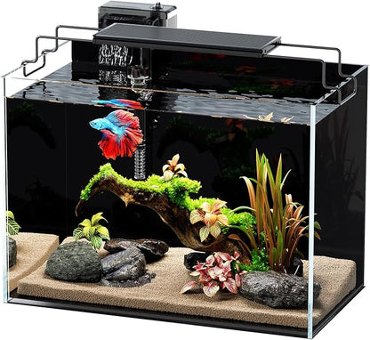 5 Gallon Fish Tank Aquarium Kit with HOB Filter, LED Light with Timer, Lid, Siphon Vacuum Cleaner, Self Cleaning Glass Rimless Betta Tank