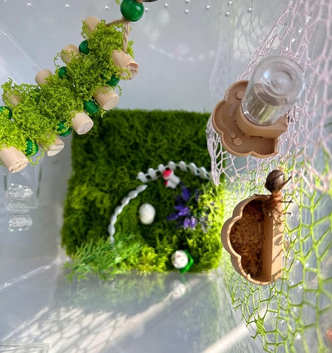 Jumping Spider Water Dispenser, Magnetic Hanging Feeder Dish with Cleaning Brush and Tweezers,Fits for Jumping Spiders,Arboreal Animals, and Other Small Animal Accessories (Beige, 8ml)