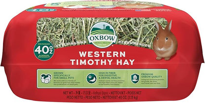 Oxbow Western Timothy Hay for Small Pets – All-Natural Grass Hay for Rabbits, Guinea Pigs, and Chinchillas – High Fiber for Digestive Health and Dental Support – 40 oz Bag