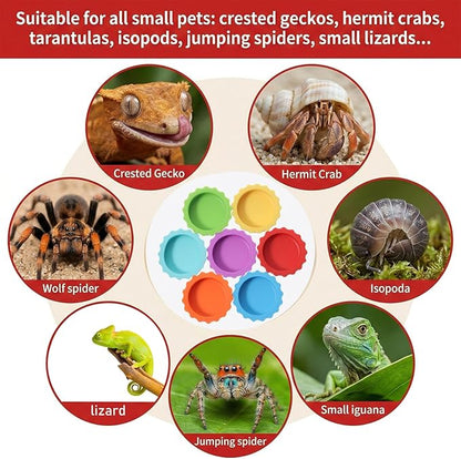 7 PCS Crested Gecko Food and Water Bowl Reusable Silicone Reptile Feeding Dish Small Pet Tank Accessories for Crested Gecko Lizard Hermit Crab Tarantula Isopods Easy Clean