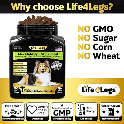Hip and Joint Chews for Dogs + Skin and Coat Supplement - Dog Joint Pain Relief Treats - Glucosamine, Chondroitin, MSM, Hemp Oil, Turmeric, Omega 3 for Dogs, Mobility Dog Health Supplies