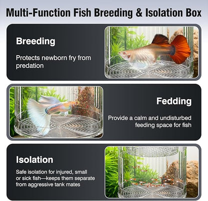 Floating Acrylic Breeder Box for Fish Tank - Aquarium Isolation Separator Hatchery Incubator for Guppy, Betta, Clownfish, Coral, Baby & Injured Fish