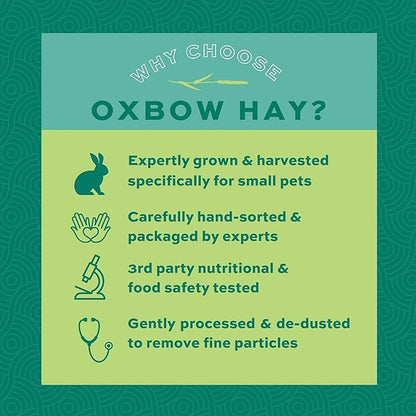 Oxbow Timothy Hay, Rabbit & Guinea Pig Hay, High Fiber for Digestive Health, Grown in the USA, Veterinarian Recommended Small Pet Supplies, for Rabbits, Guinea Pigs, & Chinchillas, 15 oz.