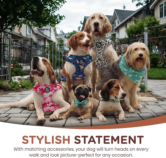 No Pull Harness and Leash Set - 6-in-1 Adjustable Vest Harness and Collars for Medium and Large Dogs. (Tile Unicorn, Medium)