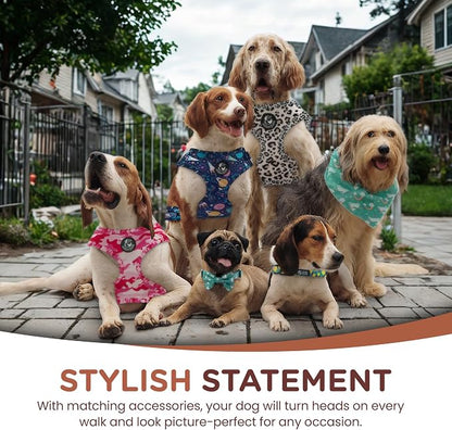 No Pull Harness and Leash Set - 6-in-1 Adjustable Vest Harness and Collars for Medium and Large Dogs. (Tile Unicorn, Medium)