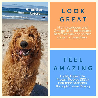A Better Dog Food | Chicken Dry Dog Food | Raw You Can See | High Protein Kibble + Freeze Dried Raw Dog Food