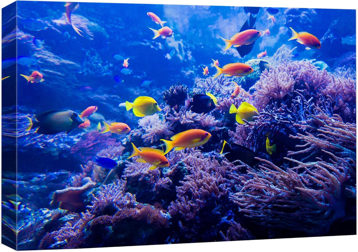 wall26 Canvas Print Wall Art Purple Blue Vibrant Anemone Coral Reef Fish Nature Animals Photography Realism Rustic Scenic Landscape Wilderness Colorful for Living Room, Bedroom, Office - 12"x18"