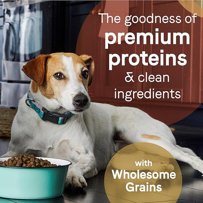 CANIDAE Pure Limited Ingredient Premium Puppy Dry Dog Food, Real Salmon & Oatmeal Recipe, 22 lbs, with Wholesome Grains