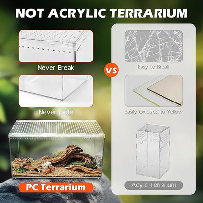 AZV Escape Proof Reptile Terrarium,Shatter Proof Polycarbonate Tarantula Tank with Magnetic Lid,Ventilated Spider Enclosure,360° Clear View,Easy Clean Habitat for Gecko,Frogs,Insects,Hermit Crabs S