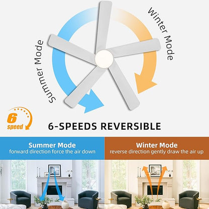 WINGBO 48 Inch DC Ceiling Fan