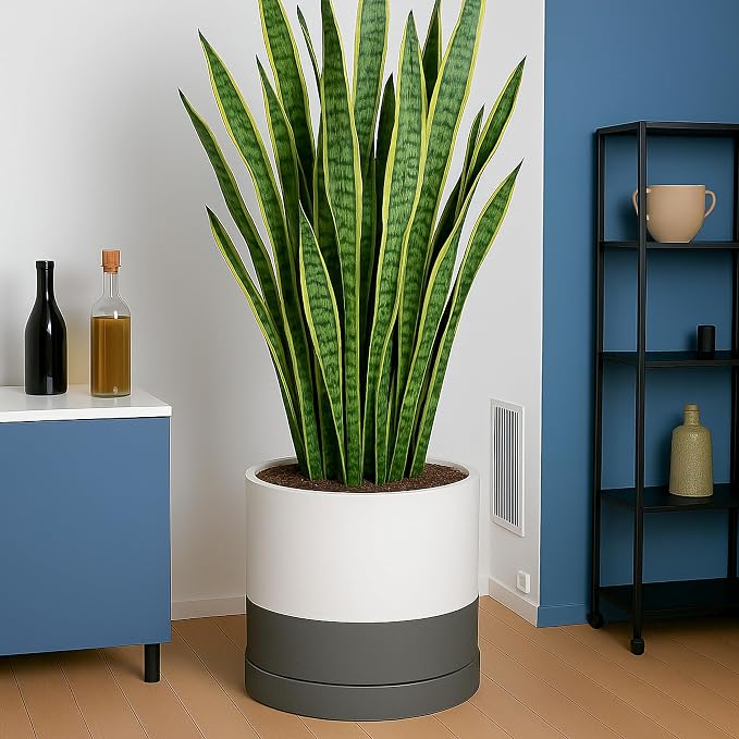 D'vine Dev 14 Inch Ceramic Planter Pot with Drainage Hole and Saucer, Indoor Cylinder Round Planter Pot, White/Speckled Grey, 94-O-G-6
