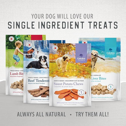 Caledon Farms Value Pack Sweet Potato Chews Dog Treats 28oz/795G