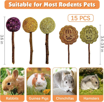 Fhiny Rabbit Chew Toys, 15 PCS Natural Bunny Lollipop Chew Sticks Handmade Guinea Pig Molar Treats for Teeth Small Animals Snacks for Guinea Pig Bunny Chinchilla Hamster Gerbil Teeth Care
