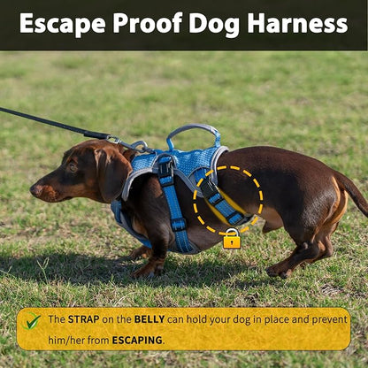 Escape Proof Dog Harness, Dachshund Harness, Reflective Dog Harness with Handle, Durable,Adjustable Vest for Small Medium Large Dogs Walking, Training, and Running Gear (Sea Blue,XL)