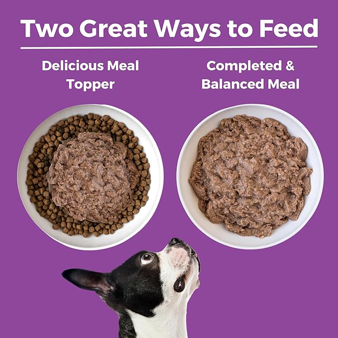 KOHA Limited Ingredient Diet Kangaroo Entrée for Dogs - Grain Free Wet Dog Food with No Fillers - Sensitive Stomach Kangaroo Dog Food, 13 oz - Trial Pack (3 Cans)