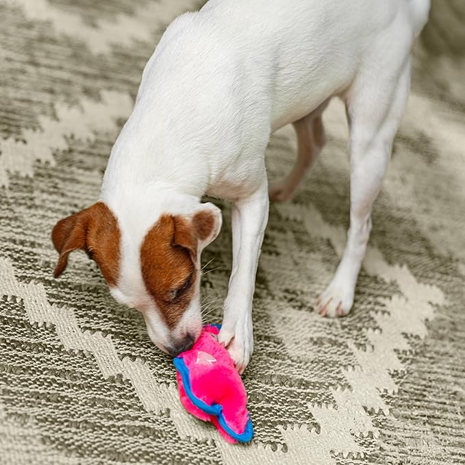 Outward Hound Durablez Minis Stuffing-Free Squeaky Plush Dog Toy for Puppies & Small Dogs - Interactive, Soft Yet Tough, No Mess, Jumbo Squeaker, Long-Lasting Play, Pig
