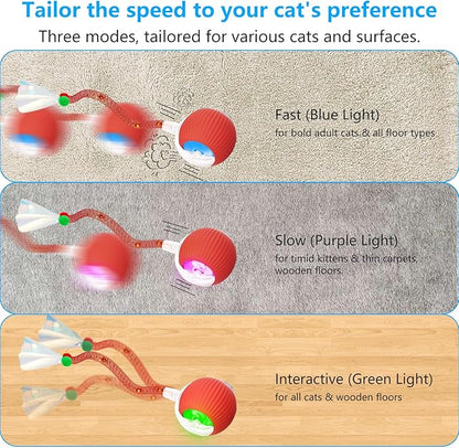 Interactive Cat Toys for Indoor Cats, 2025 New Generation Interactive Cat Ball Toy with Elastic Mesh Tail, Automatic Cat/Kitten Toys with Chirping & Motion Activate, Cat Toys for Bored Indoor(Red)